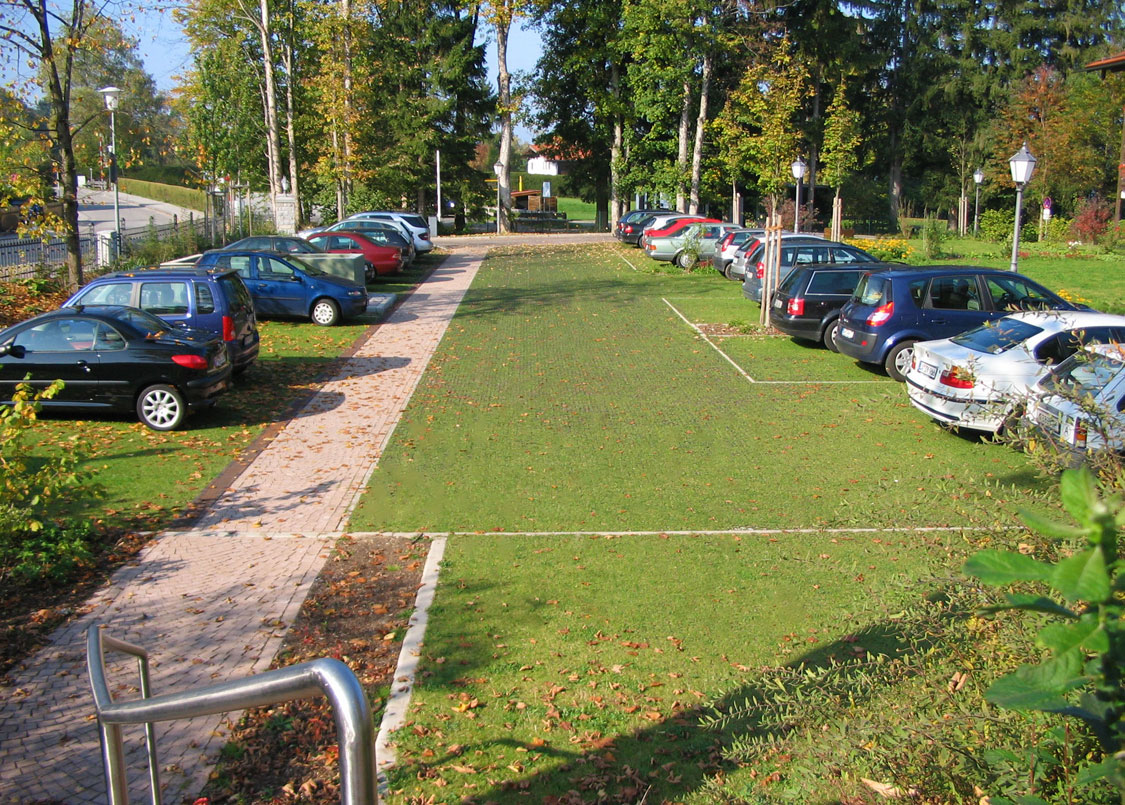 grass_driveway 1